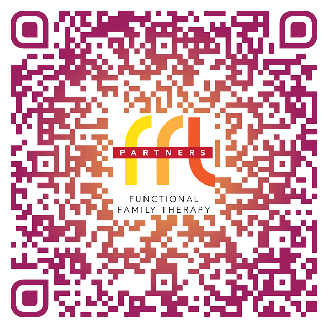 FFT Program Overview Link